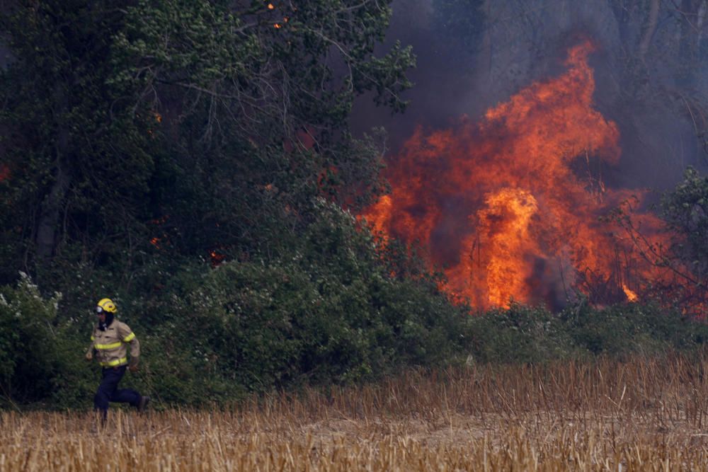 Incendi entre Cruïlles i Monells