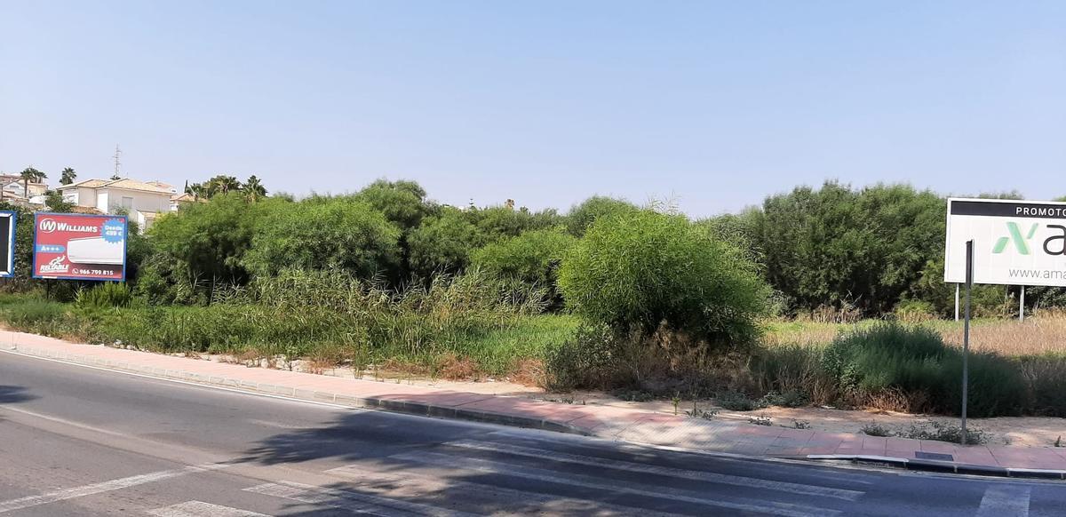 Aspecto de la zona que finalmente no va a ser urbanizada