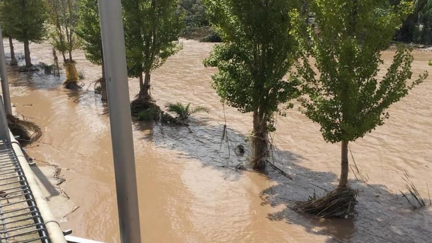 El río Segura a su paso por Blanca.