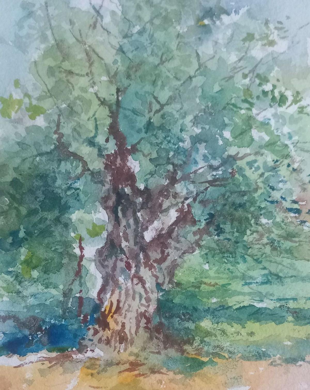 Acuarela Gorda. | | FULGENCIO SAURA MIRA