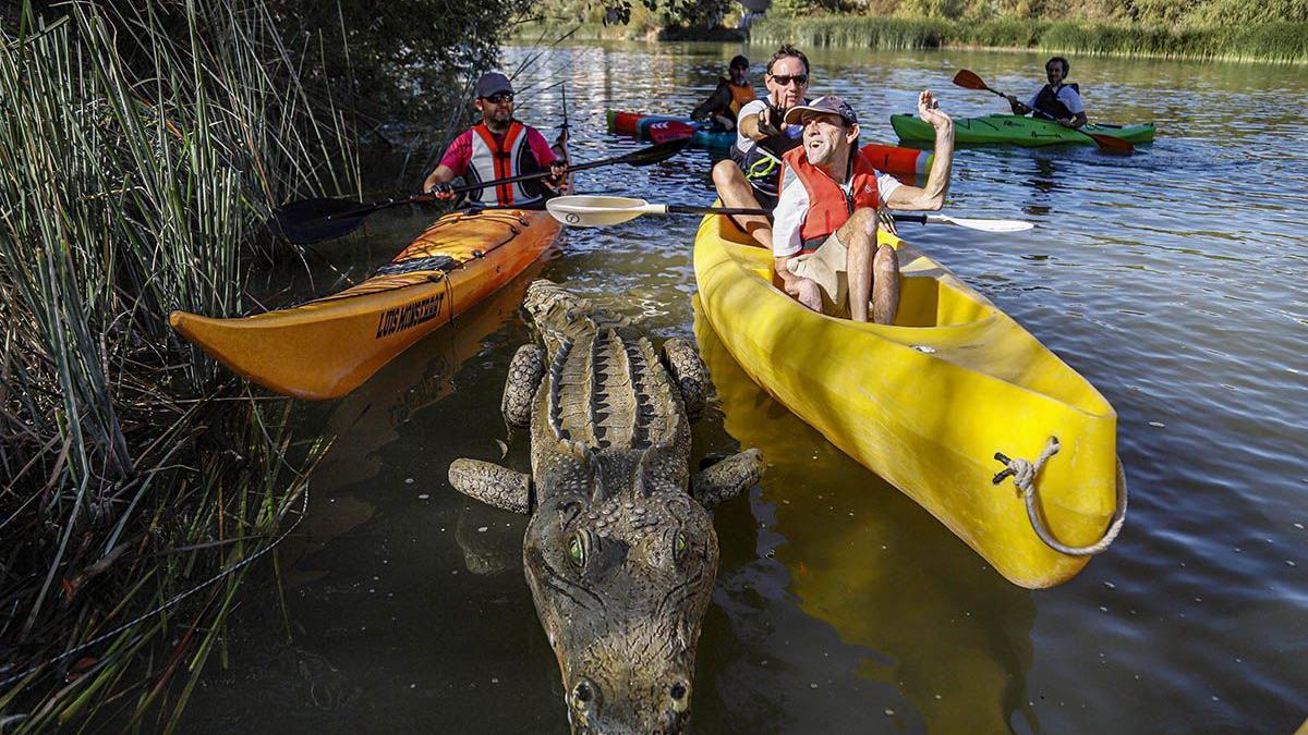 Una ruta en kayak por el Guadalquivir.