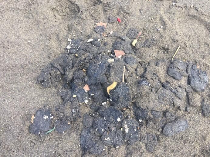 Recogida de restos de piche en la playa teldense de Palos