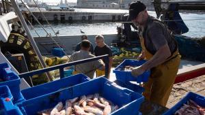 La crisi climàtica enfonsa la pesca de Barcelona