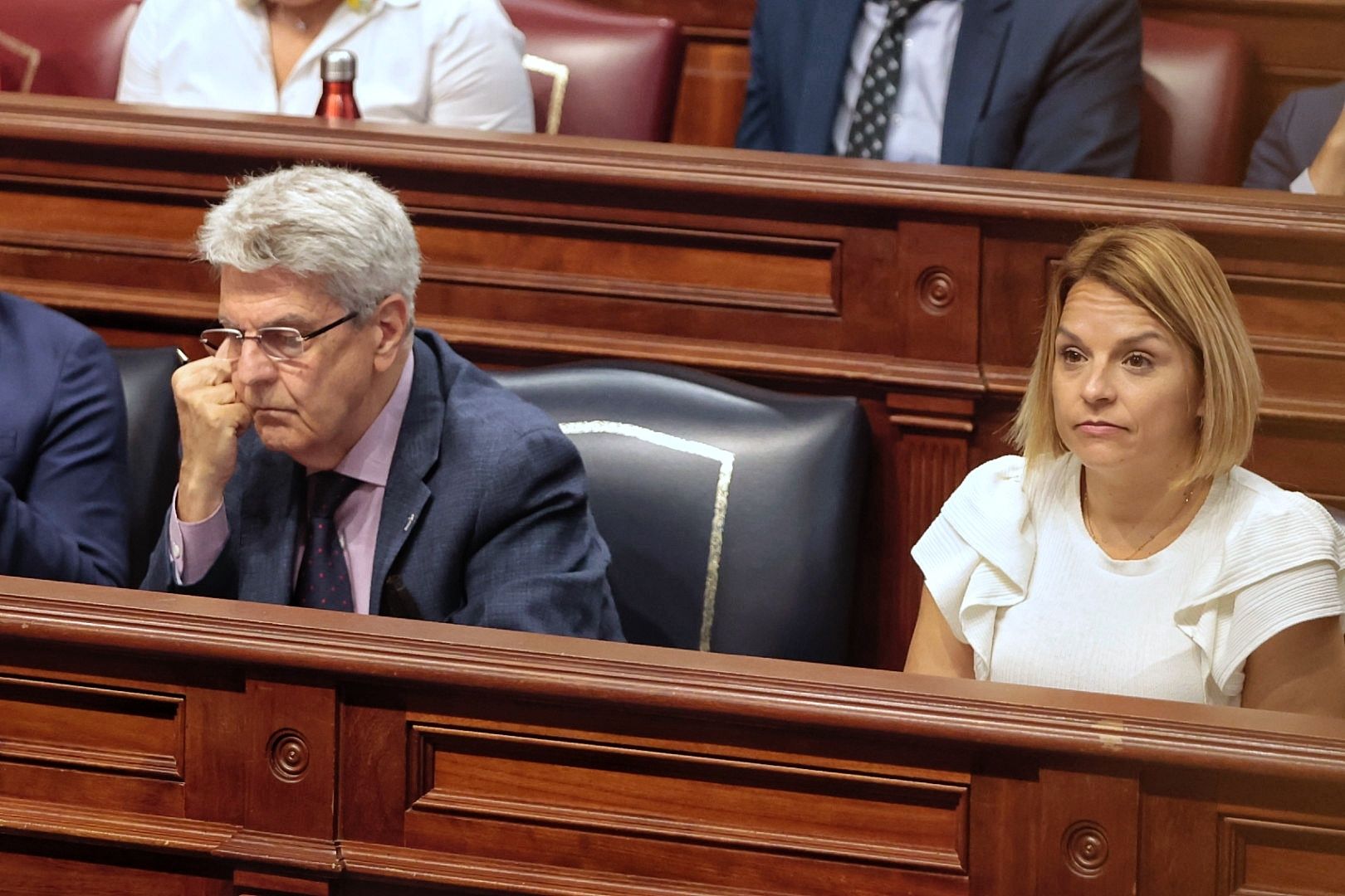 Pleno del Parlamento de Canarias (7/06/2022)