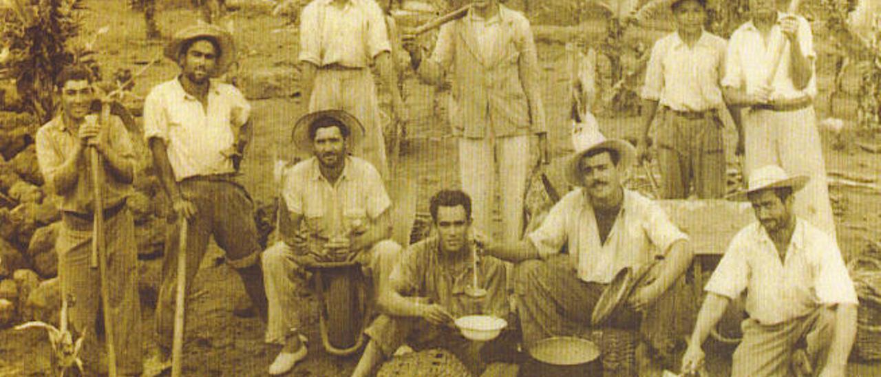 Vecinos del pueblo de Tao (Teguise) trabajando en la platanera en La Palma.