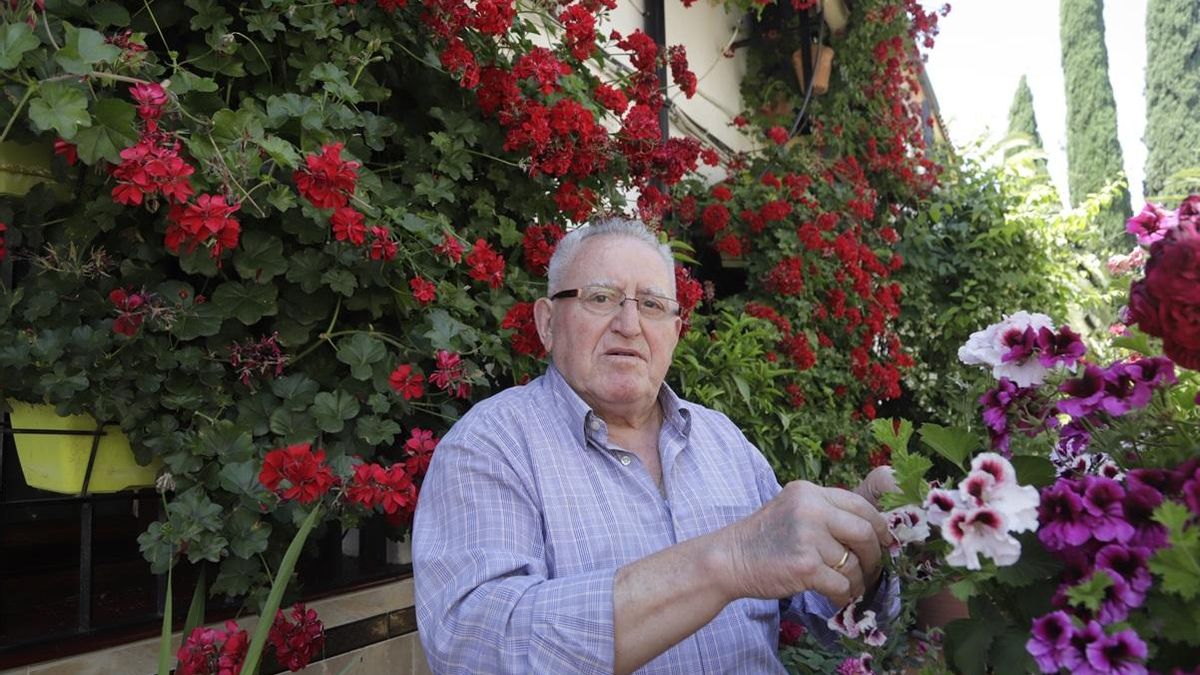 Marcelino Calzado junto a sus flores en las rejas de Manuel Soro Tinte 3, donde ganó en hasta siete ocasiones el concurso municipal.