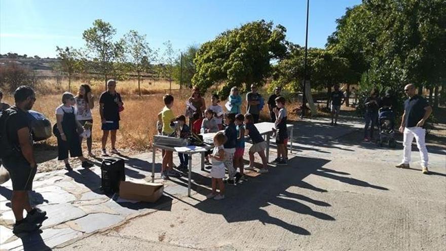 participación en el día de las aves