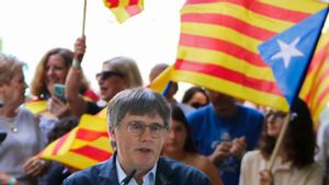 El TC esperarà al TJUE per abordar els recursos contra el no a l’amnistia