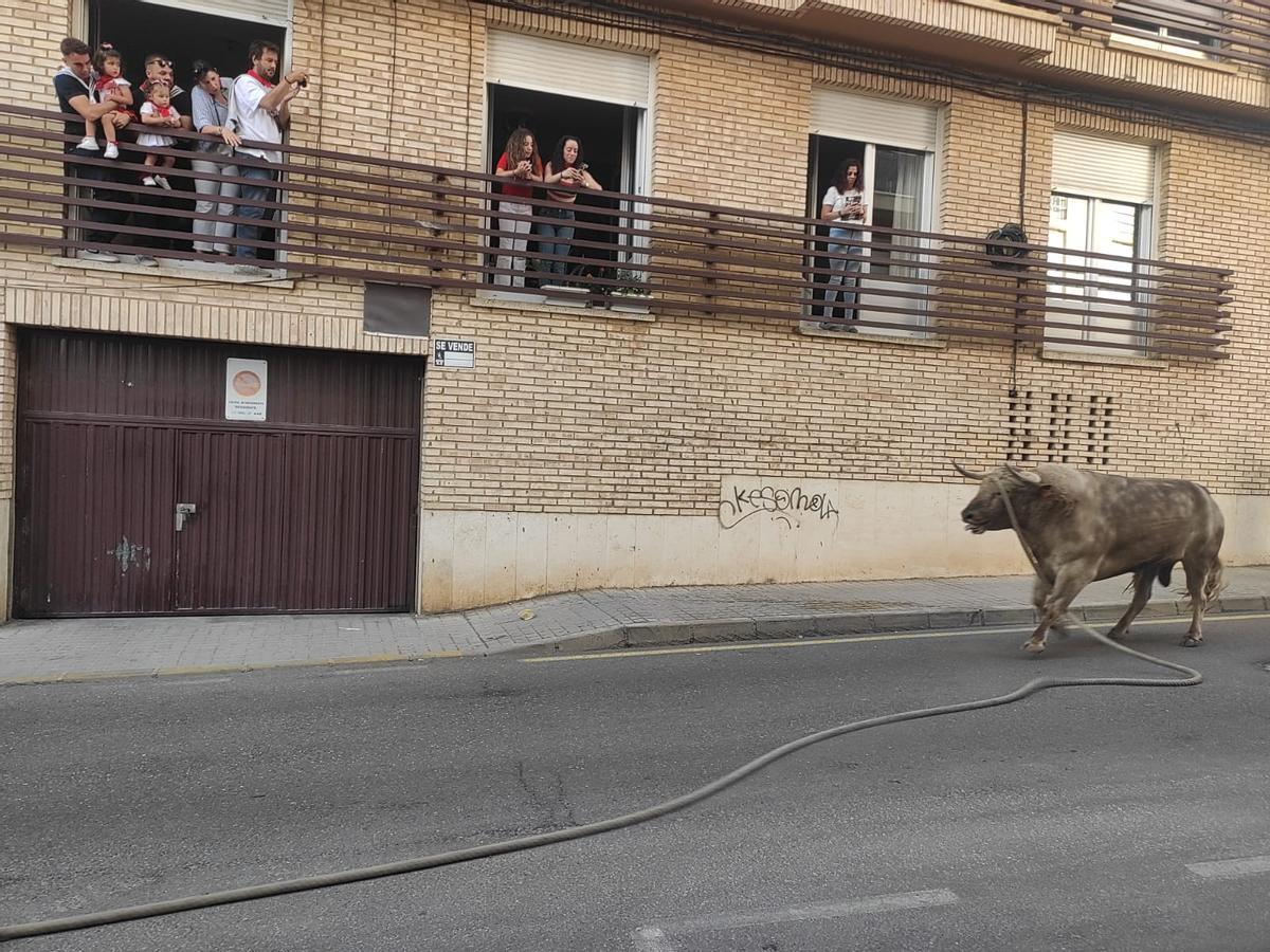 Cardilisto, el Torito del Alba del sábado.