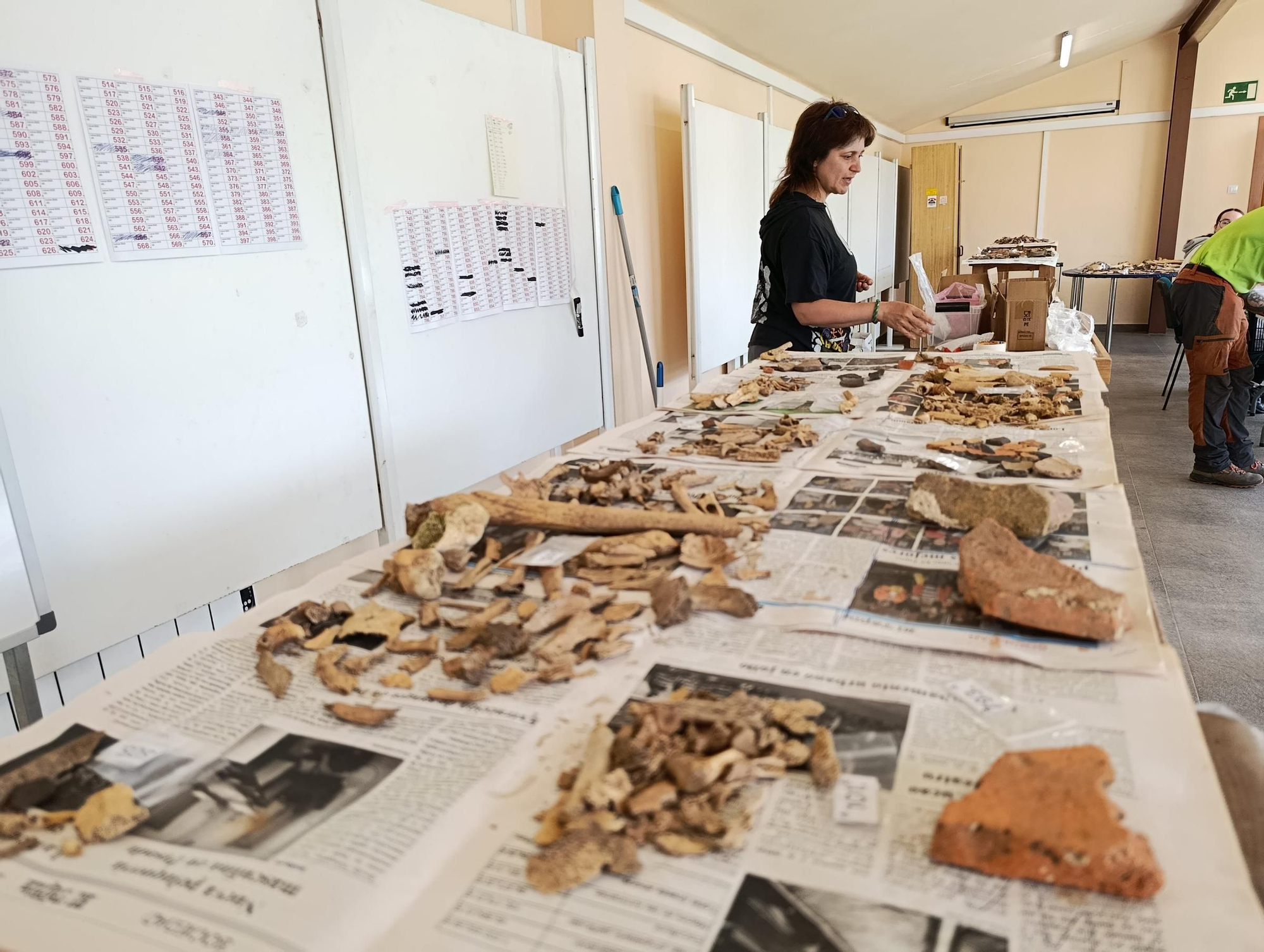 Así se trabaja en el laboratorio de "Lucus Asturum" en Villabona