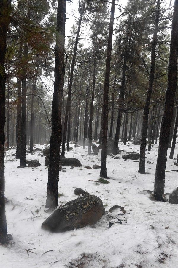 Visita a la cumbre nevada