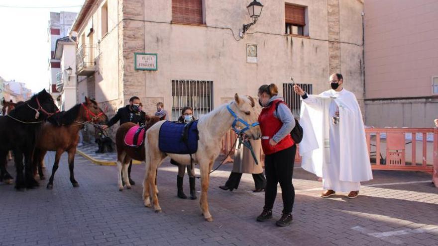 Els animals i el foc, protagonistes en Sant Antoni