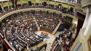 El Congreso solo ha debatido una ley además de la amnistía