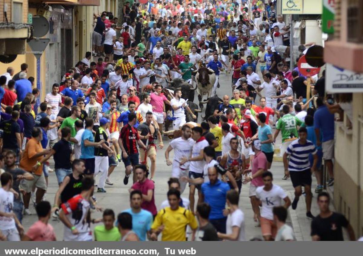 GALERÍA DE FOTOS -- Encierro de vértigo en la Vall d’Uixó GALERÍA DE FOTOS -- Encierro de vértigo en la Vall d’Uixó