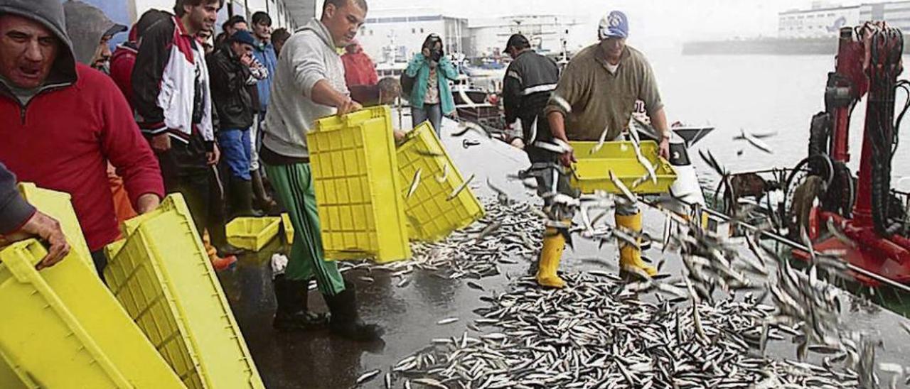 Cerqueros de la ría de Vigo tirando anchoa hace un año como protesta por la escasa cuota. // Adrián Irago