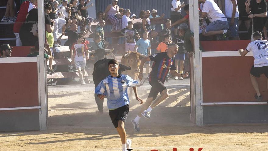 Segundo encierro lleno de adrenalina, protagonizado por la ganadería de Aldeanueva en Calasparra
