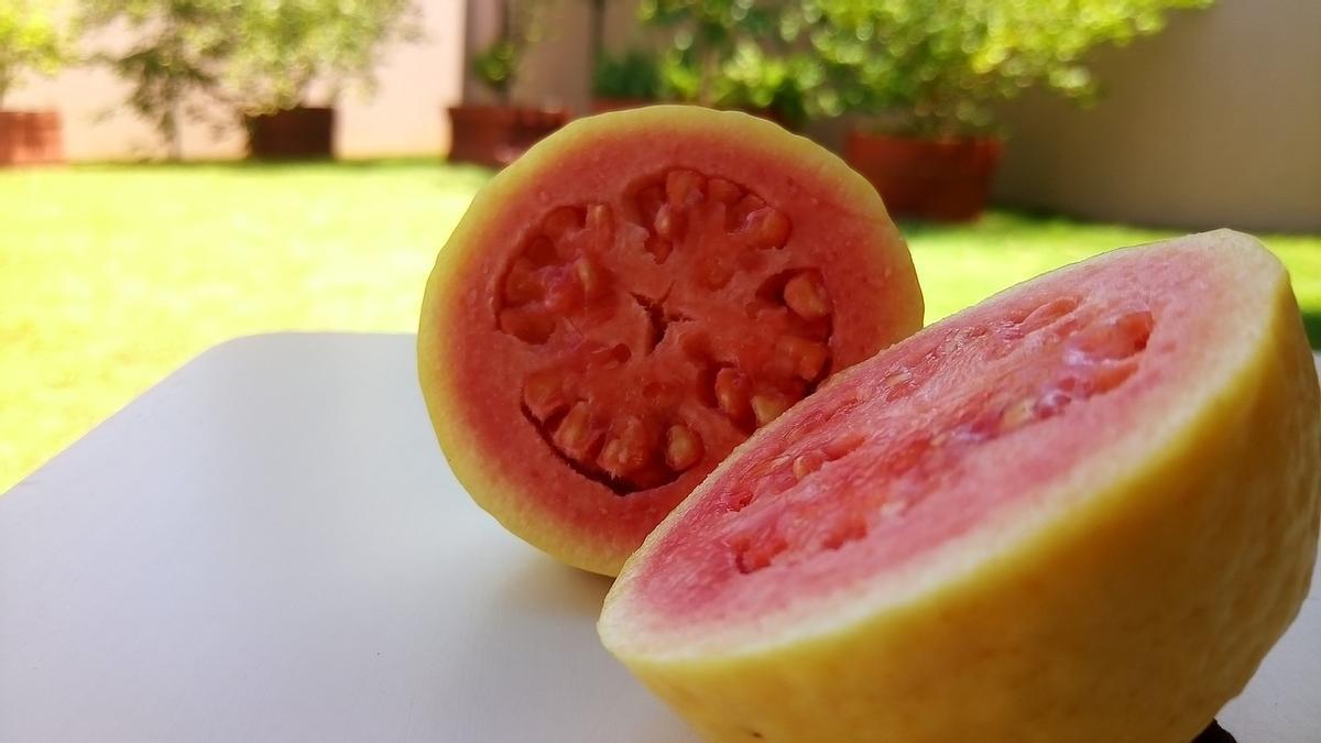 La guayaba es la reina de las frutas en vitamina c