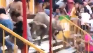 Este es el momento en que el toro irrumpe en las gradas en Vidreres | Vídeo