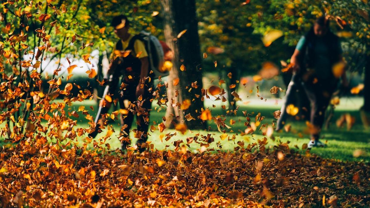 Los mejores sopladores de hojas para dejar tu jardín limpio en minutos