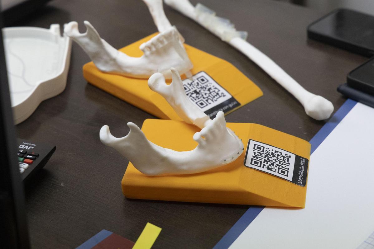 Alicante exporta a Europa prototipos en 3D del cerebro