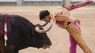 Samuel Navalón, a cara o cruz en Las Ventas