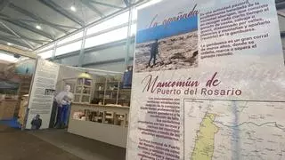 Los alcaparrones sorprenden a los visitantes en el stand de Puerto del Rosario