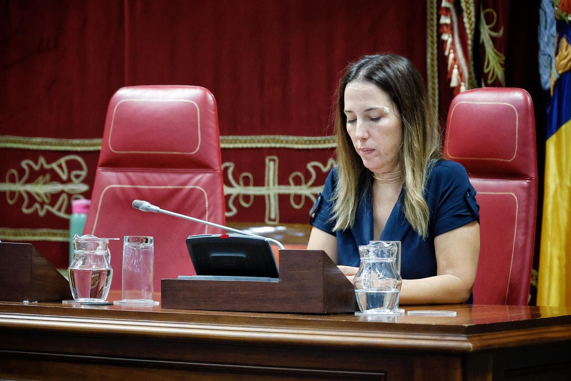 Pleno del Parlamento de Canarias, este miércoles