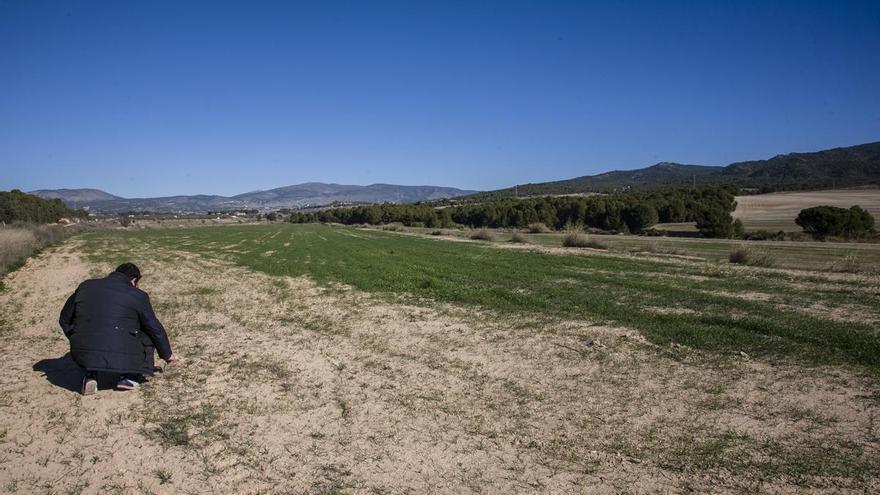 La Foia de Castalla se rebela ante el proyecto de la macroplanta solar