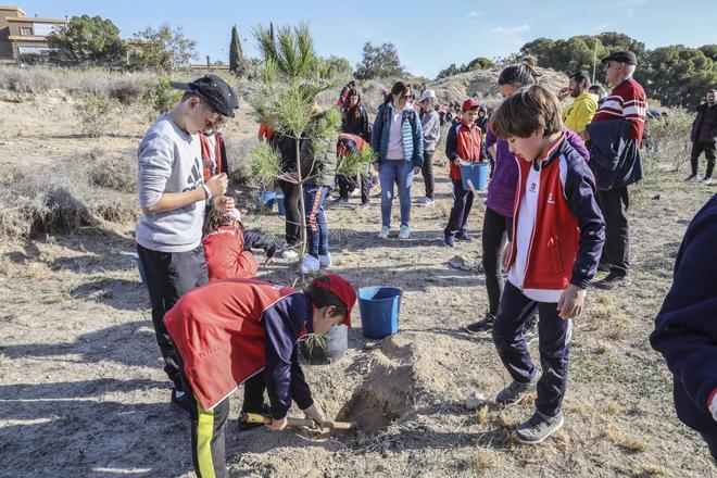 Los alumnos de Salesianos reforestan la "montaña del huevo" por tercer año consecutivo