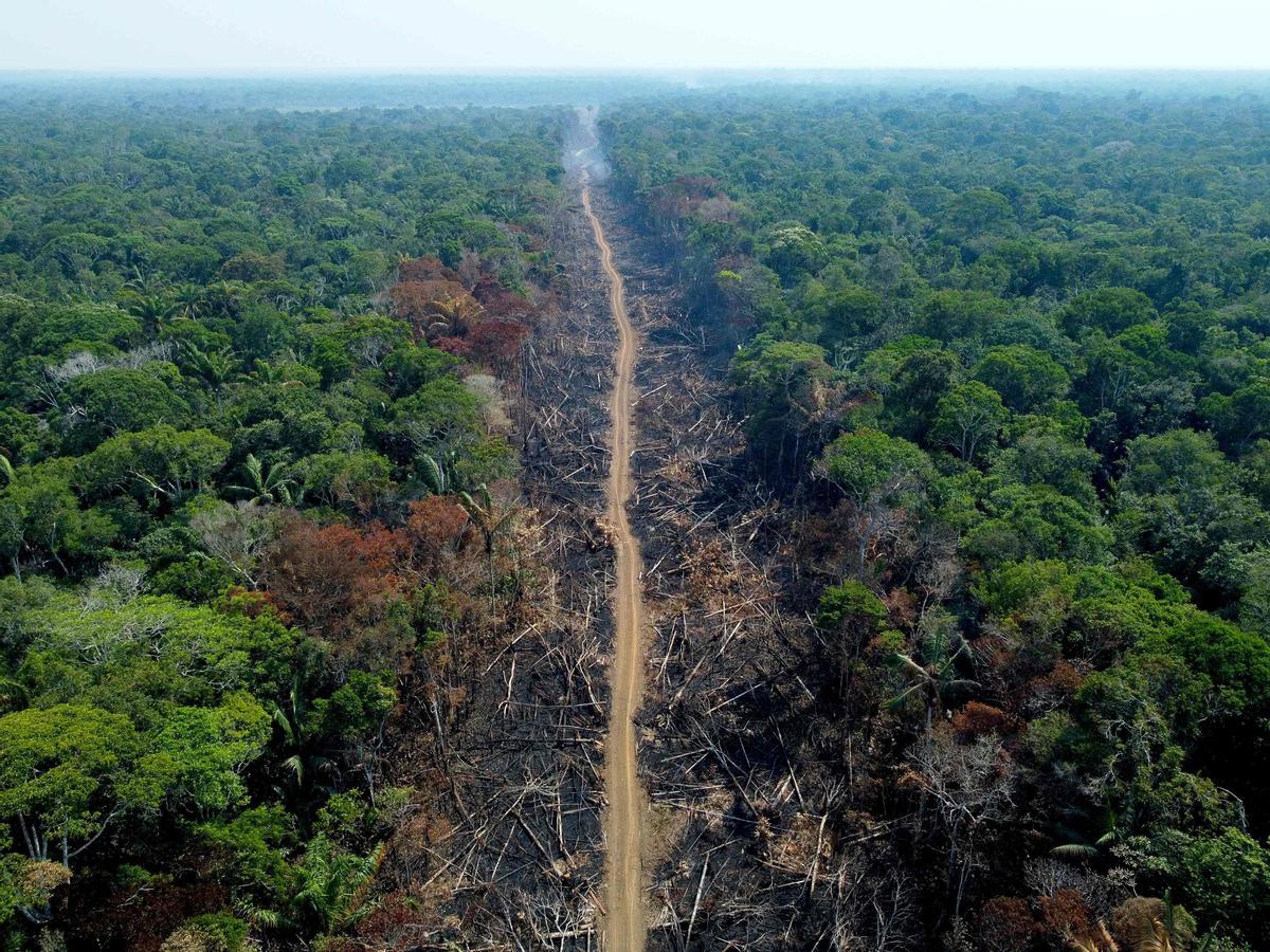 Franja quemada y deforestada en la BR-230 (carretera Transamazónica) en Humaitá, en el estado de Amazonas, Brasil, el 16 de septiembre del 2022.