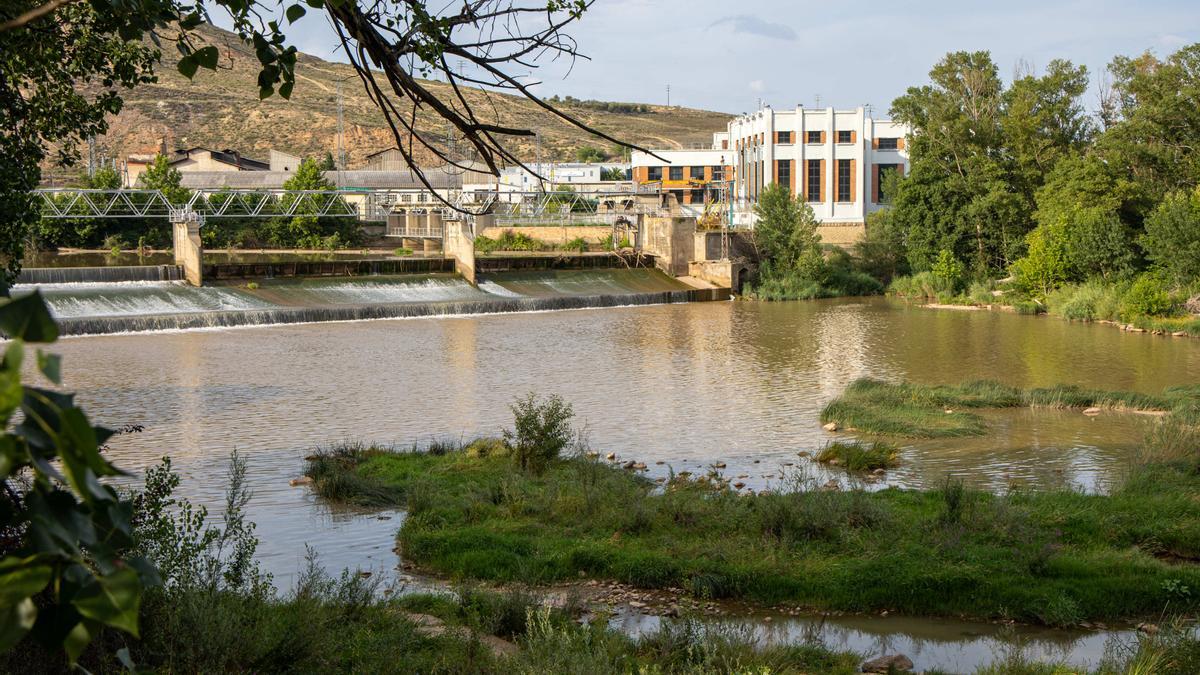 La Policía Nacional ha interceptado al hombre cuando intentaba ahogar a sus tres hijos en el Ebro