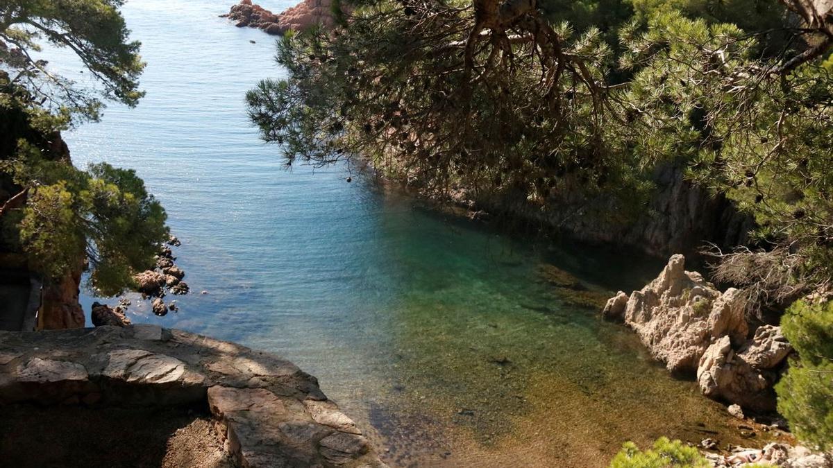 Pla general de la cala Aigua Xelida de Tamariu (Baix Empordà) aquest 21 de setembre del 2018. (horitzontal)