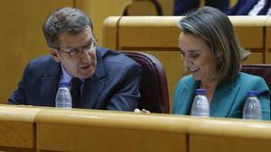 El líder del PP, Alberto Núñez Feijóo, y la secretaria general, Cuca Gamarra, en el pleno.