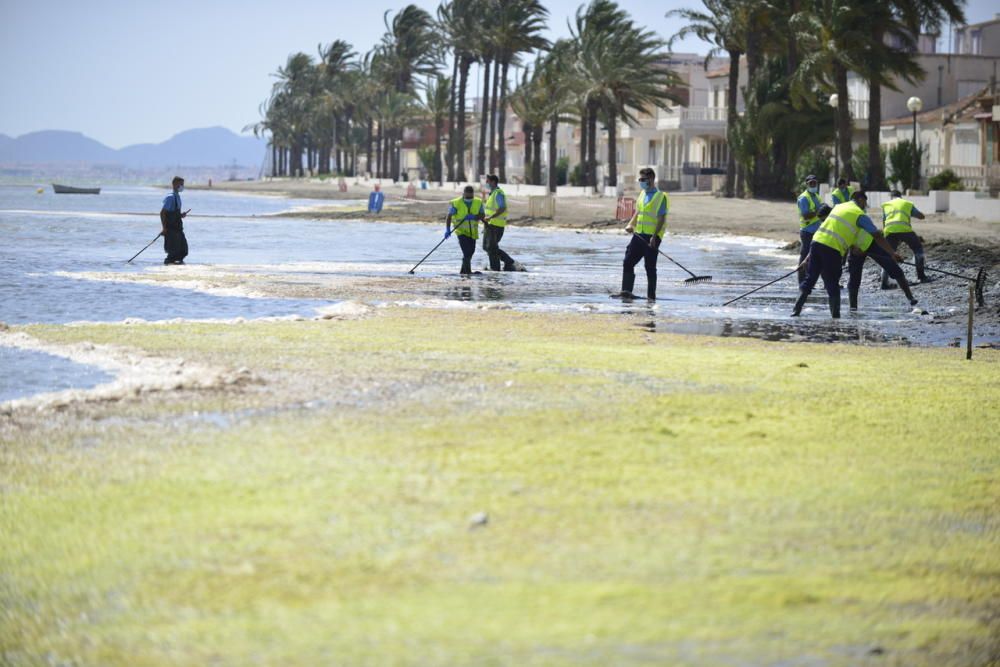 Limpieza del Mar Menor en Los Alcázares