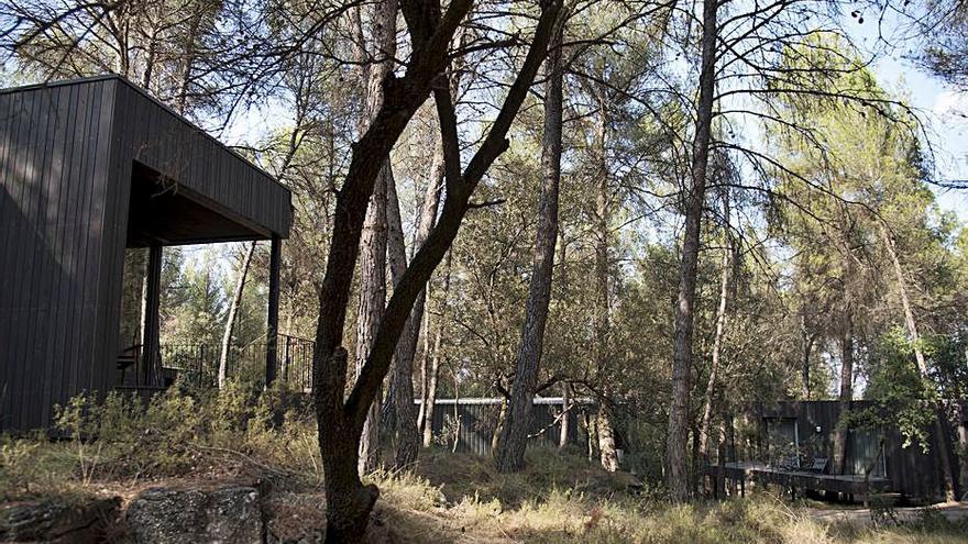 Tres de les construccions situades dins del bosc | MIREIA  ARSO