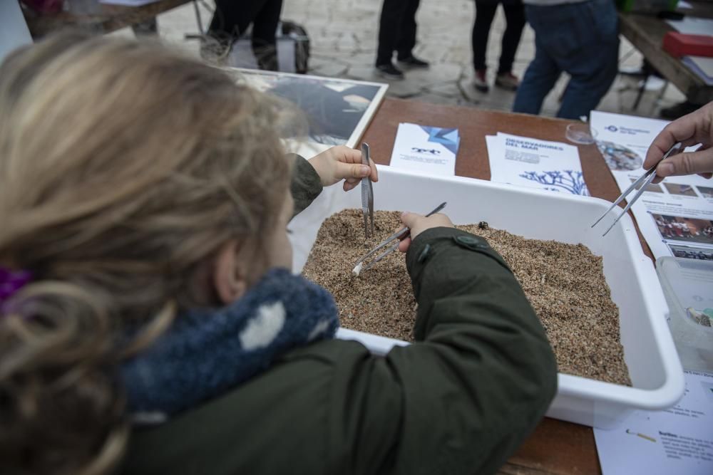 Jornada de mostreig i conscienciació contra els micro i mesoplàstics a Blanes