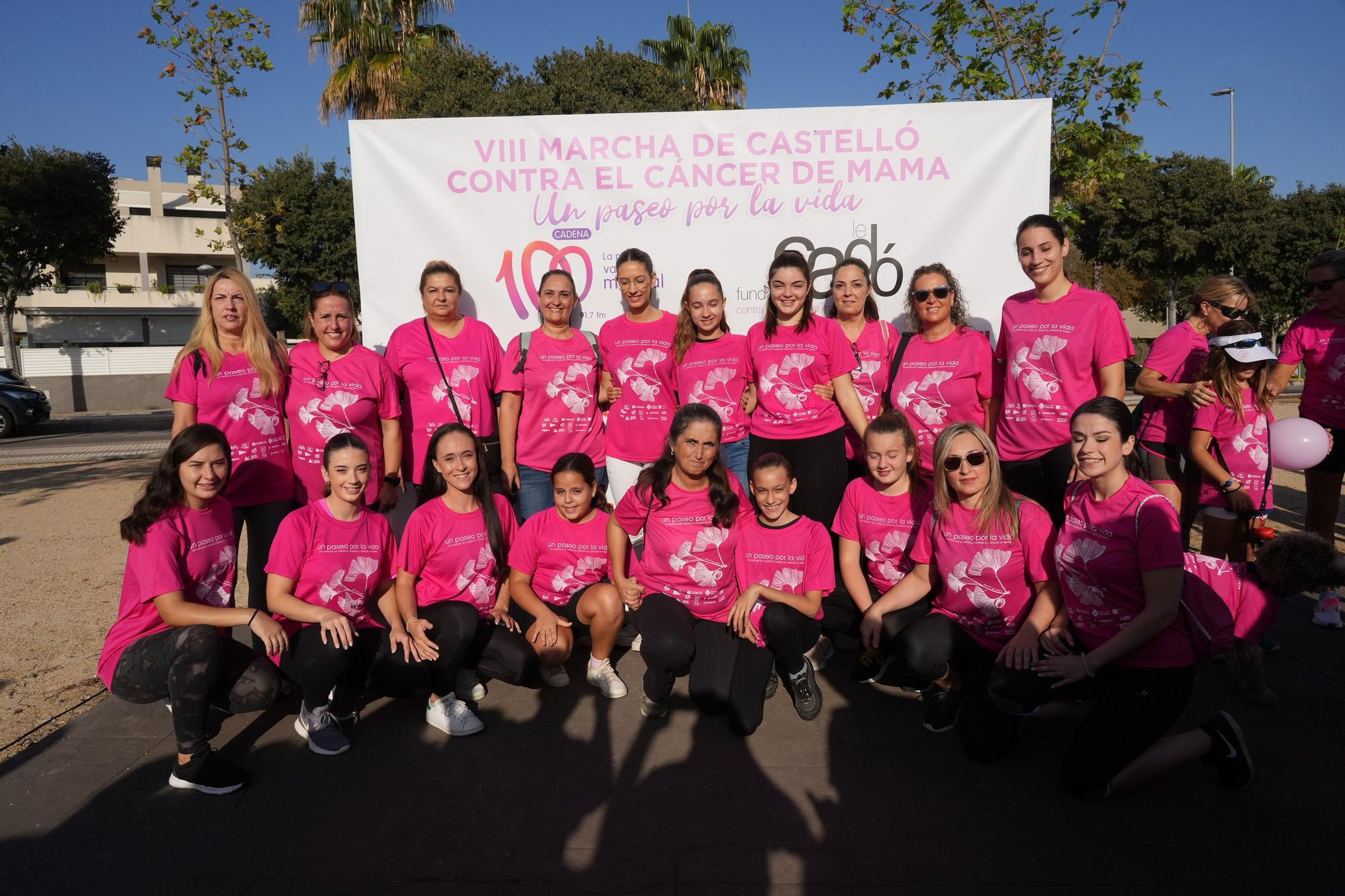 Búscate en la Marcha Contra el Cáncer de Mama de Castelló