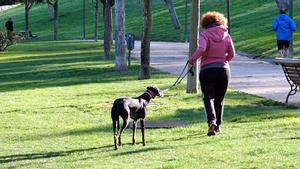 Una vecina pasea a su perro en un parque de Madrid