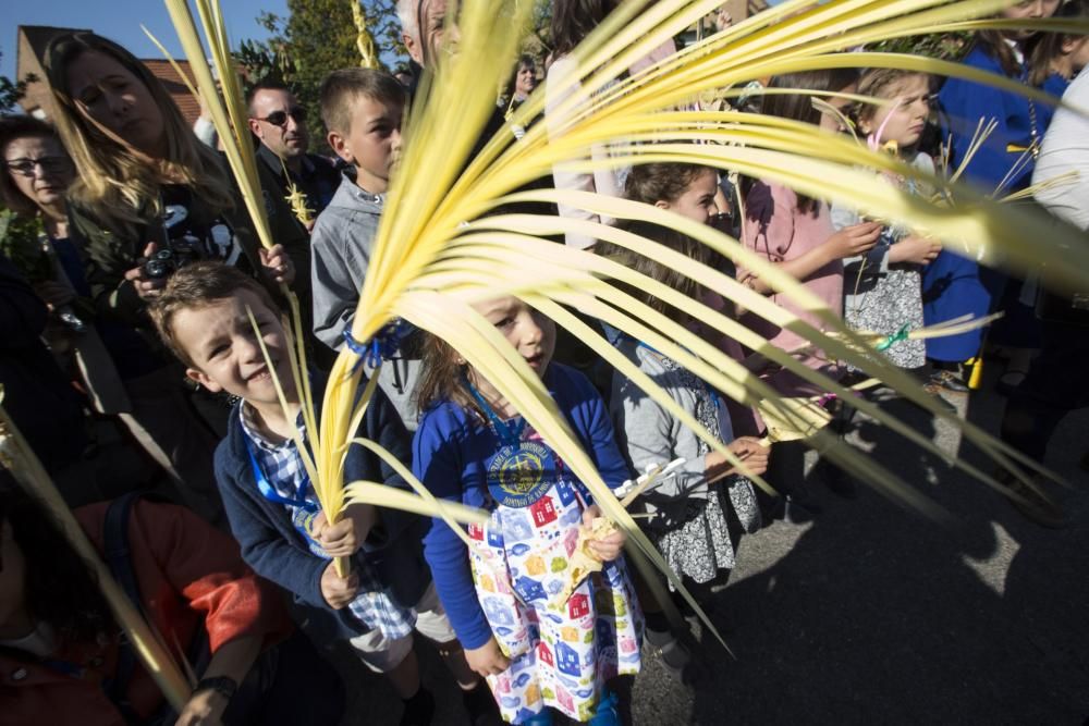 Procesión La Borriquilla en Oviedo