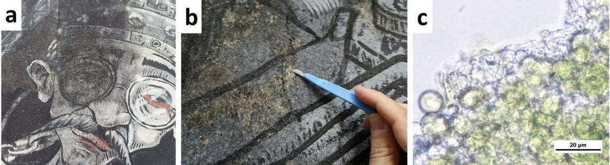 La UVigo identifica las causas de deterioro del arte urbano por primera vez en España