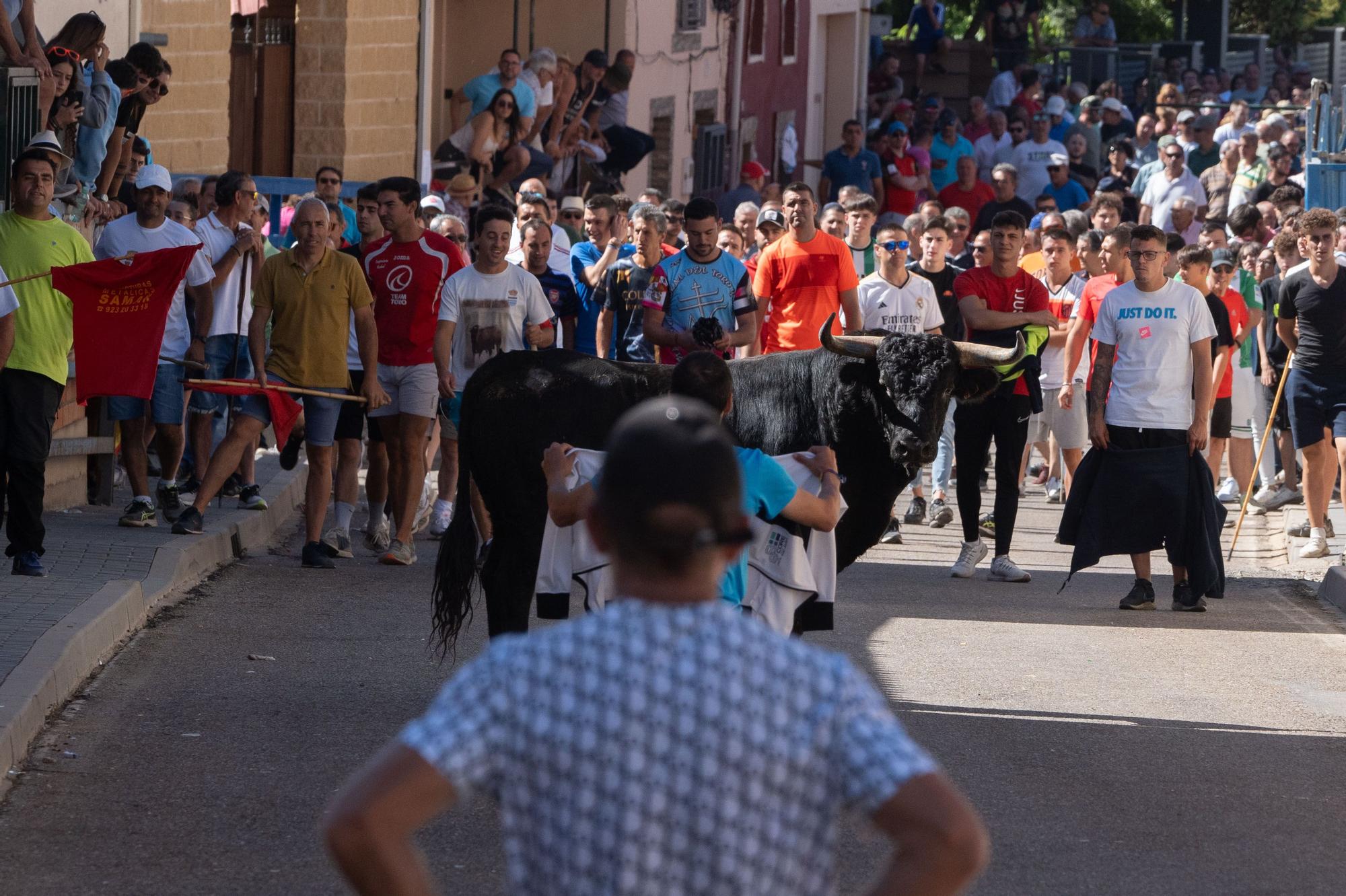 GALERÍA | Las mejores imágenes del encierro de La Bóveda de Toro