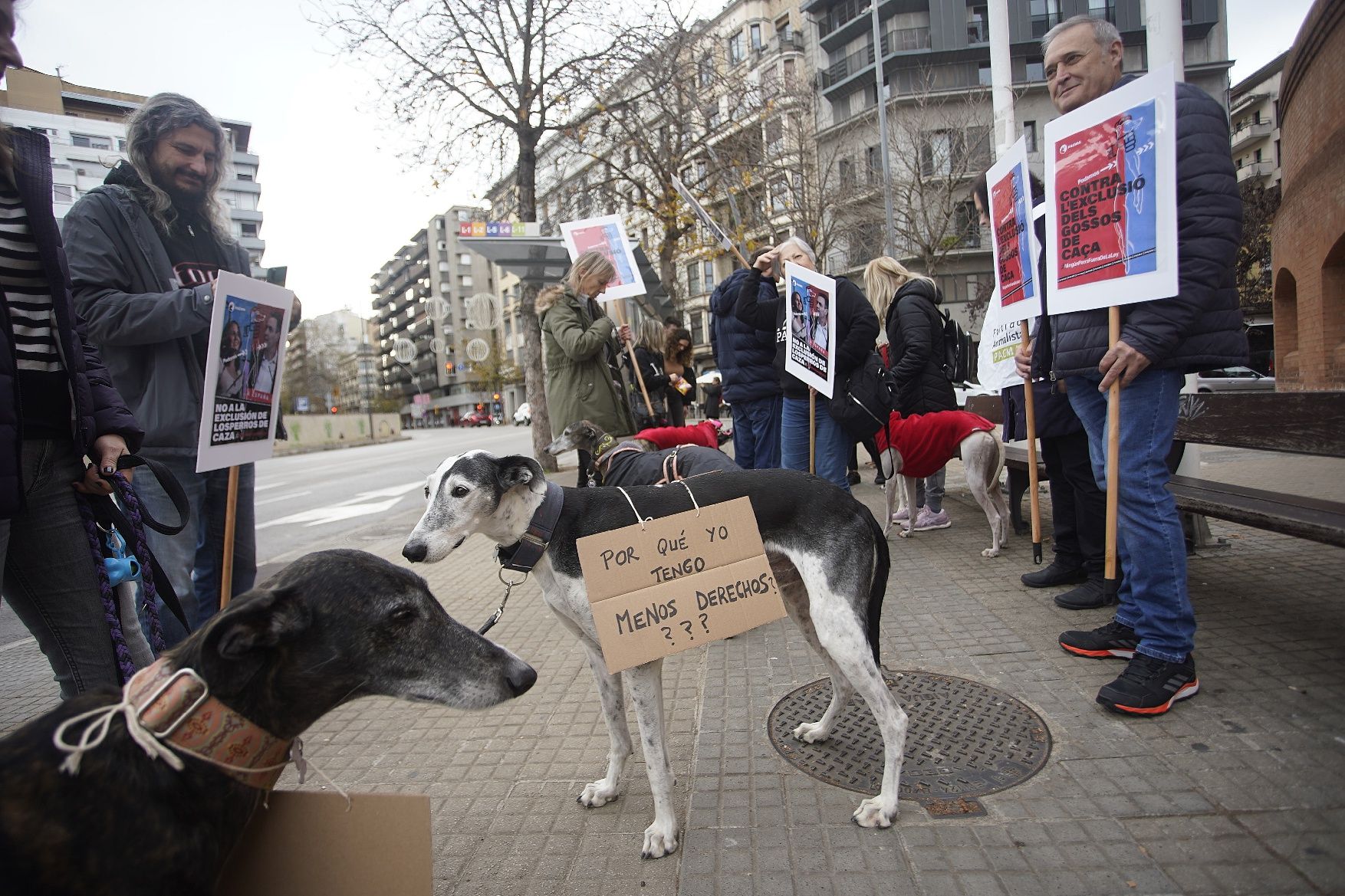 Concentracions del PACMA a Girona per reclamar incloure els gossos de caça a la llei de protecció animal