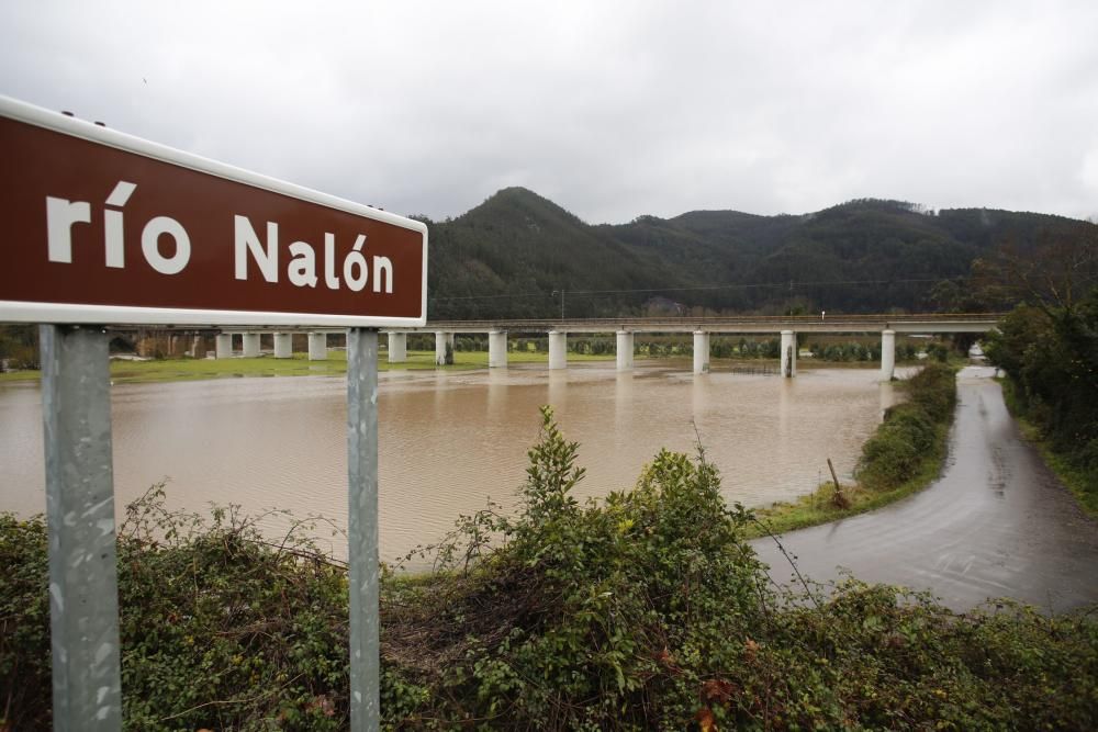 El río Nalón, en Pravia