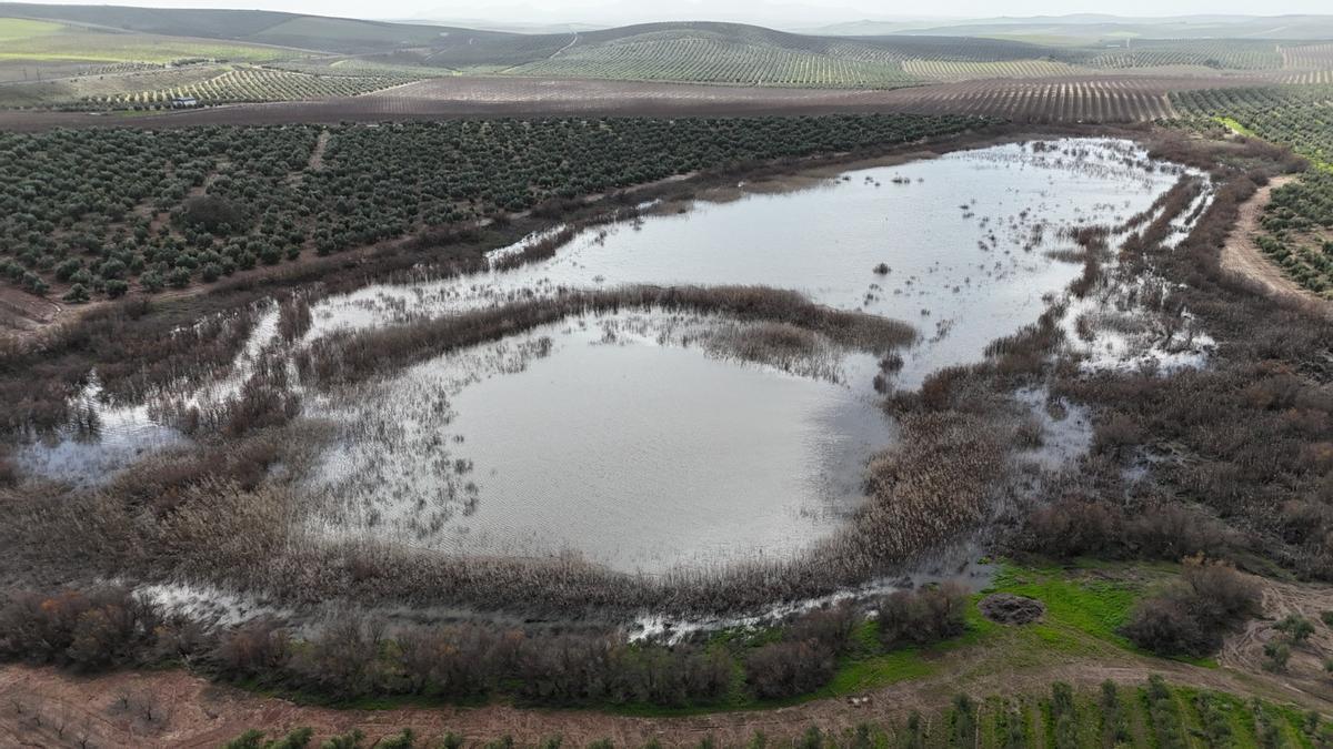Laguna temporal del Donadía, en el término de Santaella.