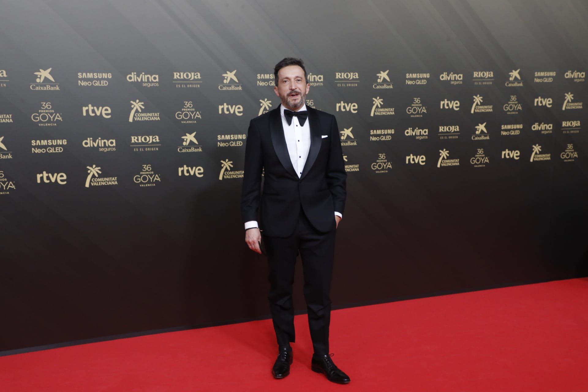 Todas las imágenes de la alfombra roja de los Premios Goya en València