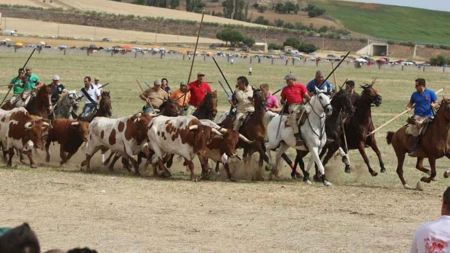 Espantes de Fuentesaúco en las Fiestas de la Visitación de 2015.