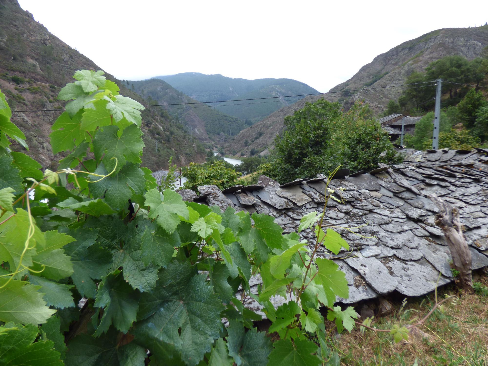 Pueblos guapos de Asturias: Riodeporcos (Ibias), al que se llega cruzando un puente