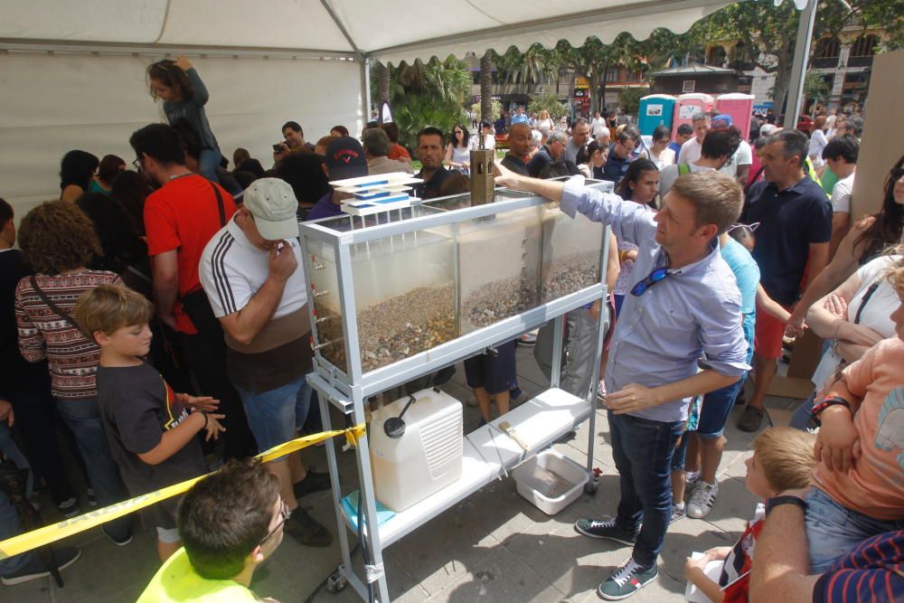 Jornada de ingeniería en la calle, en la plaza del Ayuntamiento de València.