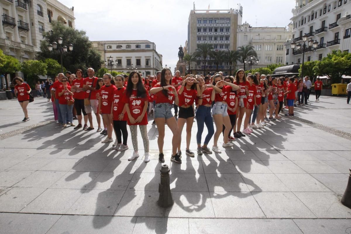 Las Tendillas se llena de 40 años de portadas de Diario CÓRDOBA sobre trasplantes