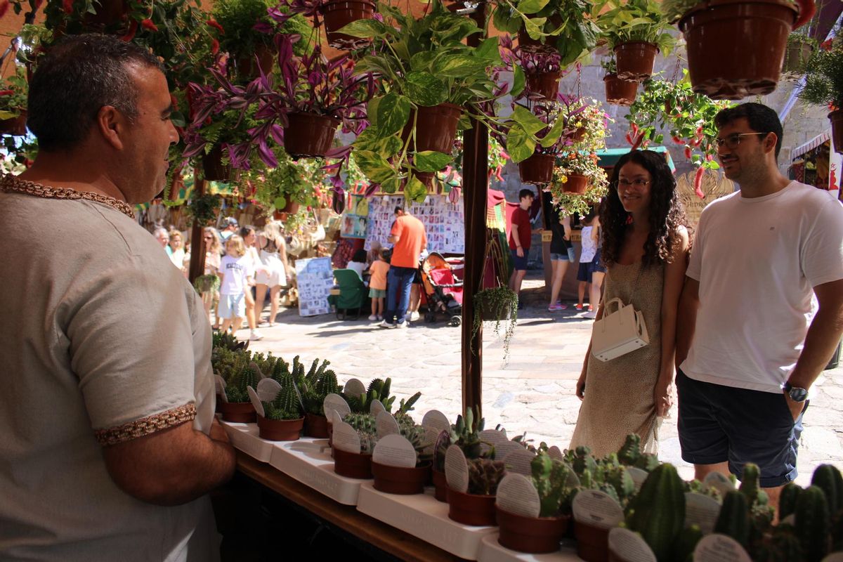 Mercado Medieval de Puebla de Sanabria